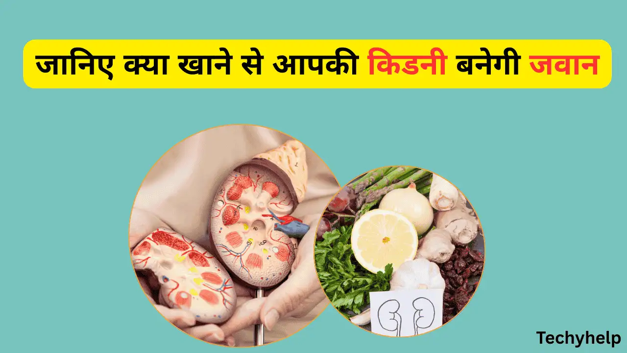 Best Foods For Better Kidney Health