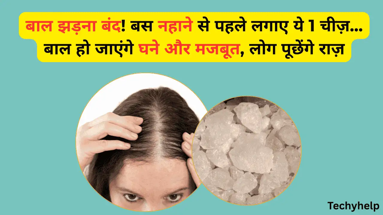 The Hair Fall Solution