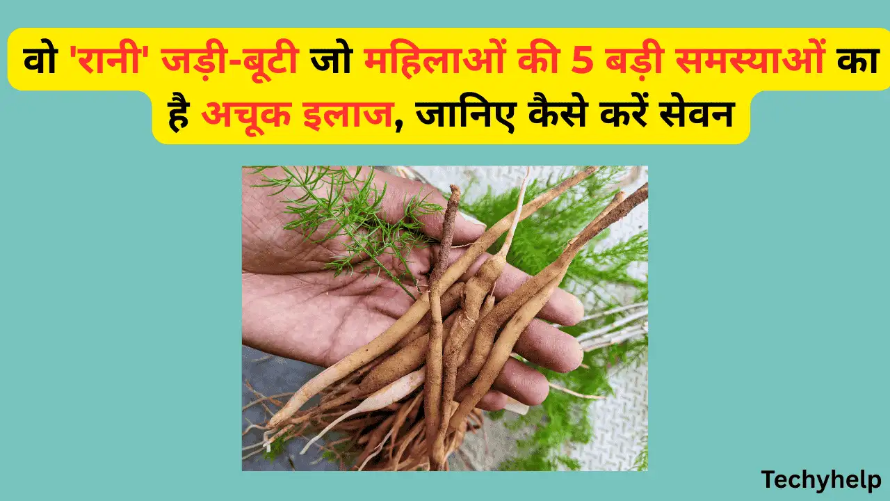 शतावरी (Shatavari) बेनिफिट्स